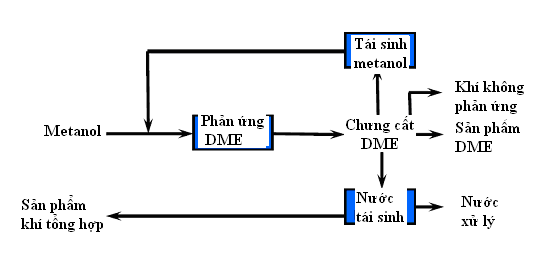 hoa-dau1