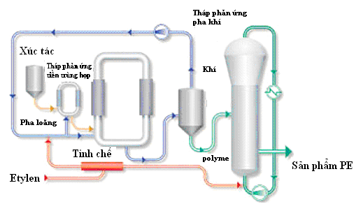 hoa-dau9